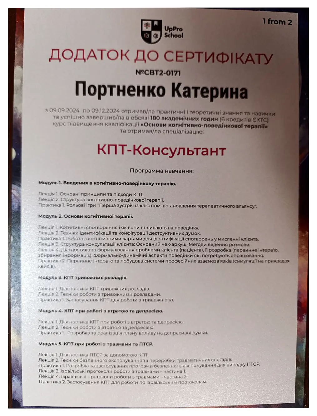 Додаток до сертифіката КПТ-консультанта, сторінка 1
